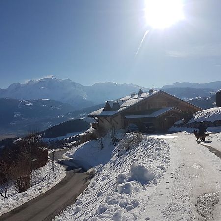 La Joubarbe Au Balcon Du Mont-Blanc Villa Sallanches Kültér fotó